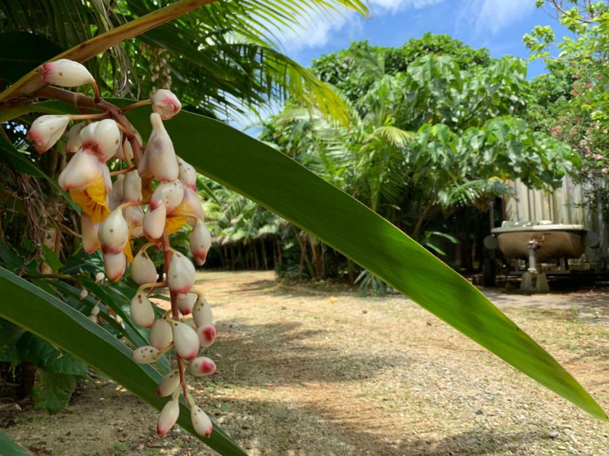 Villa Sound Of The Surf Ishigaki  Exterior foto